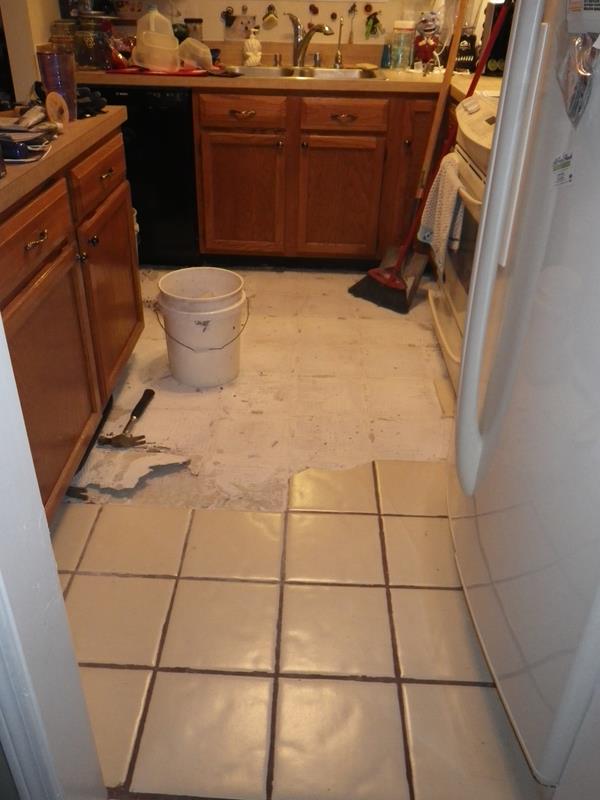 Kitchen Dining Floor Replacement DAY 1 Stingray's Log