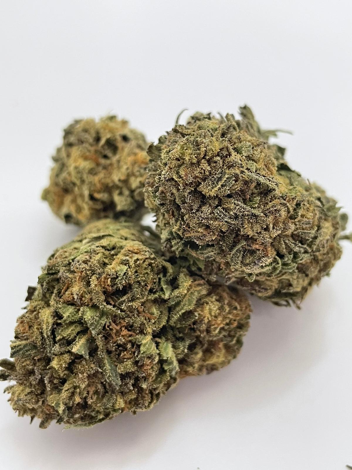 Nitro OG *Hybrid* Buy Online GasDank Best Online Dispensary Canada
