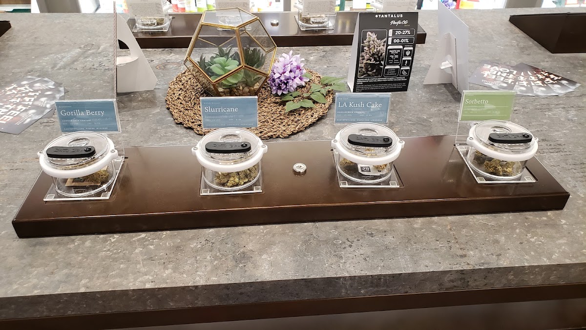 Spiritleaf Guelph Where to Order Weed in Guelph Weed Delivery