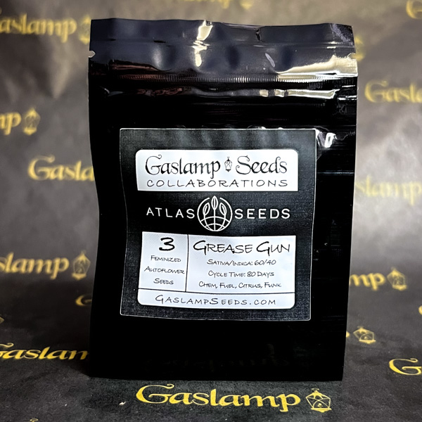 Atlas Seed GREASE GUN 3 Feminized Autoflower Seeds Gaslamp Seeds