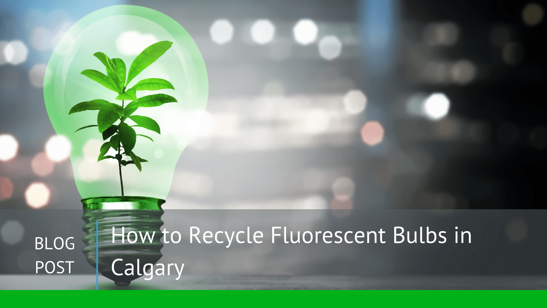 Disposing Of Lightbulbs Calgary Shelly Lighting