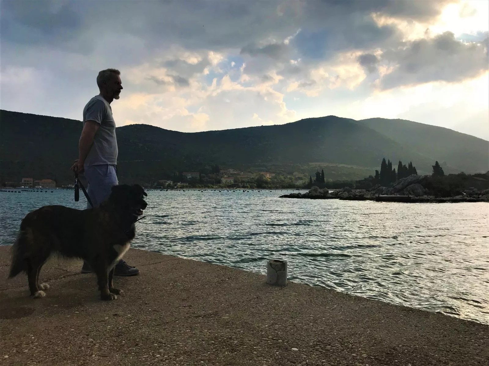 Dalmatien mit Hund In der Bucht von Brijesta