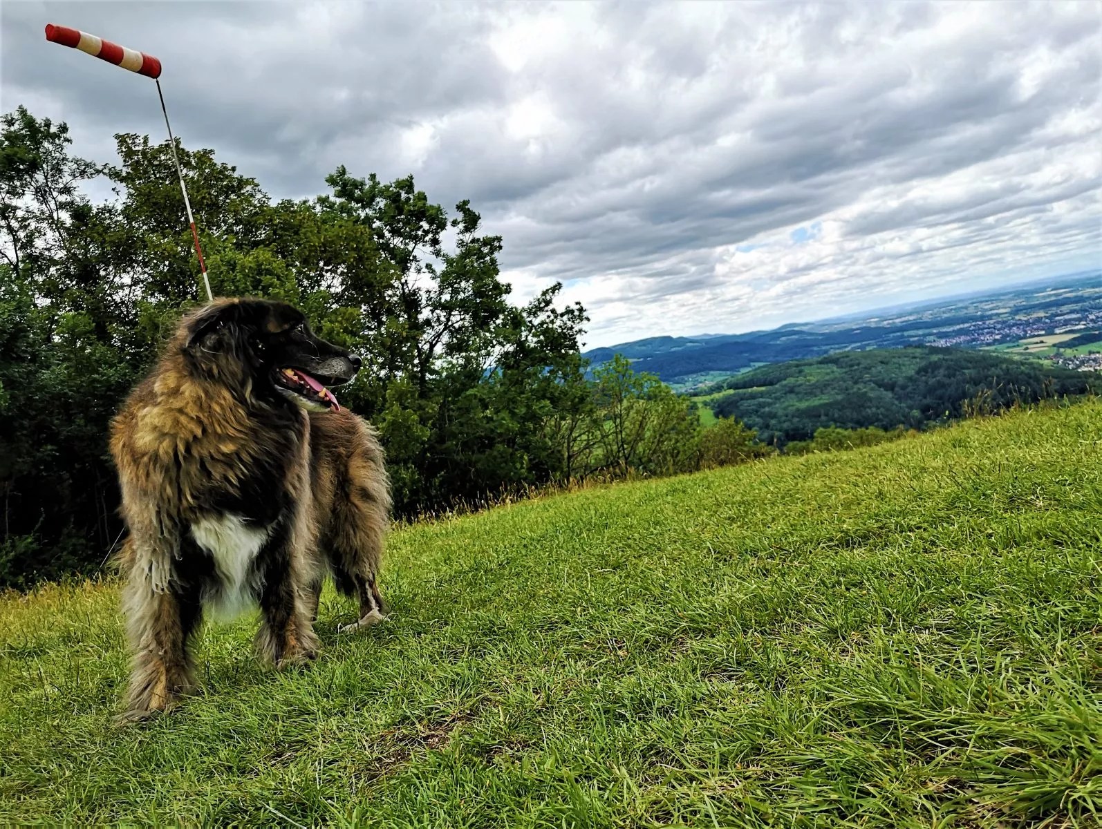 Wandern mit Hund in der Schwäbischen Alb Rötelstein und Messelstein