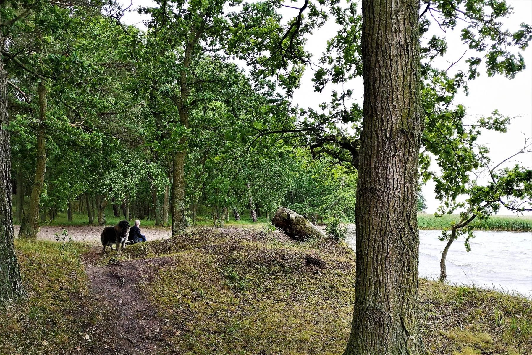 Urlaub mit Hund Stettiner Haff und Usedom