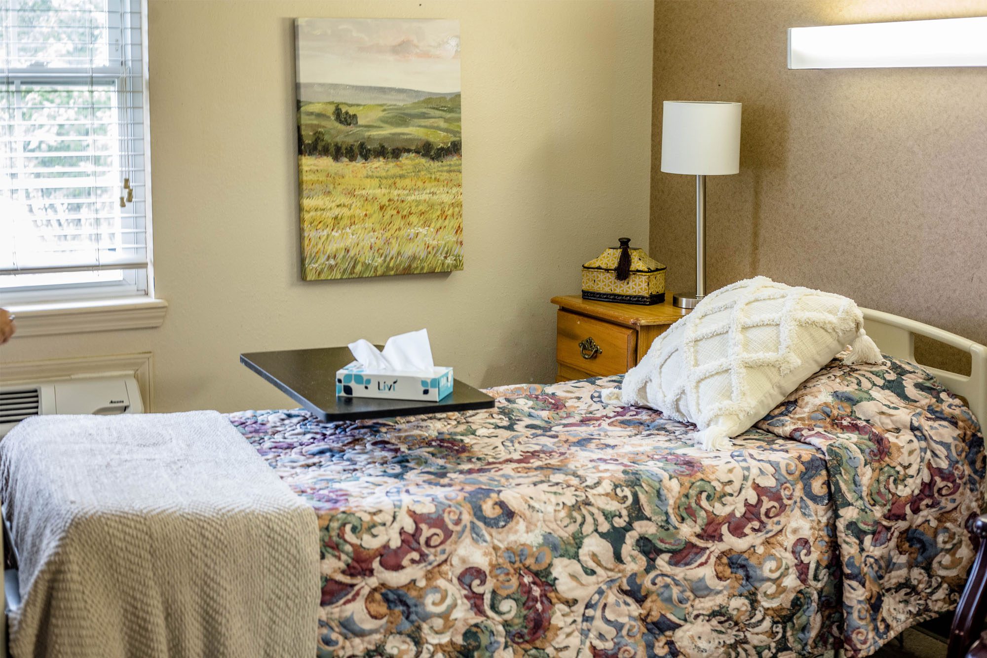 Top Nursing Homes Gassville Therapy and Living