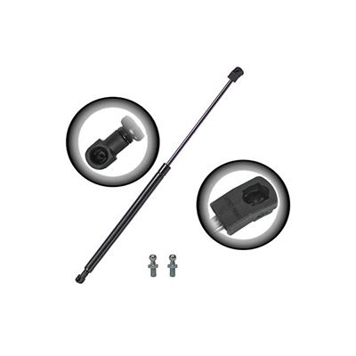 GASTAC Trunk Lid Lift Support Guide: Signs & Easy Replace