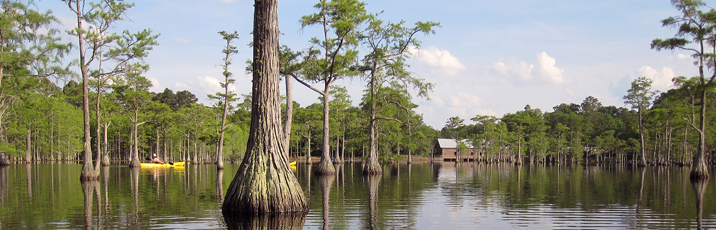 L. Smith State Park State Parks & Historic Sites