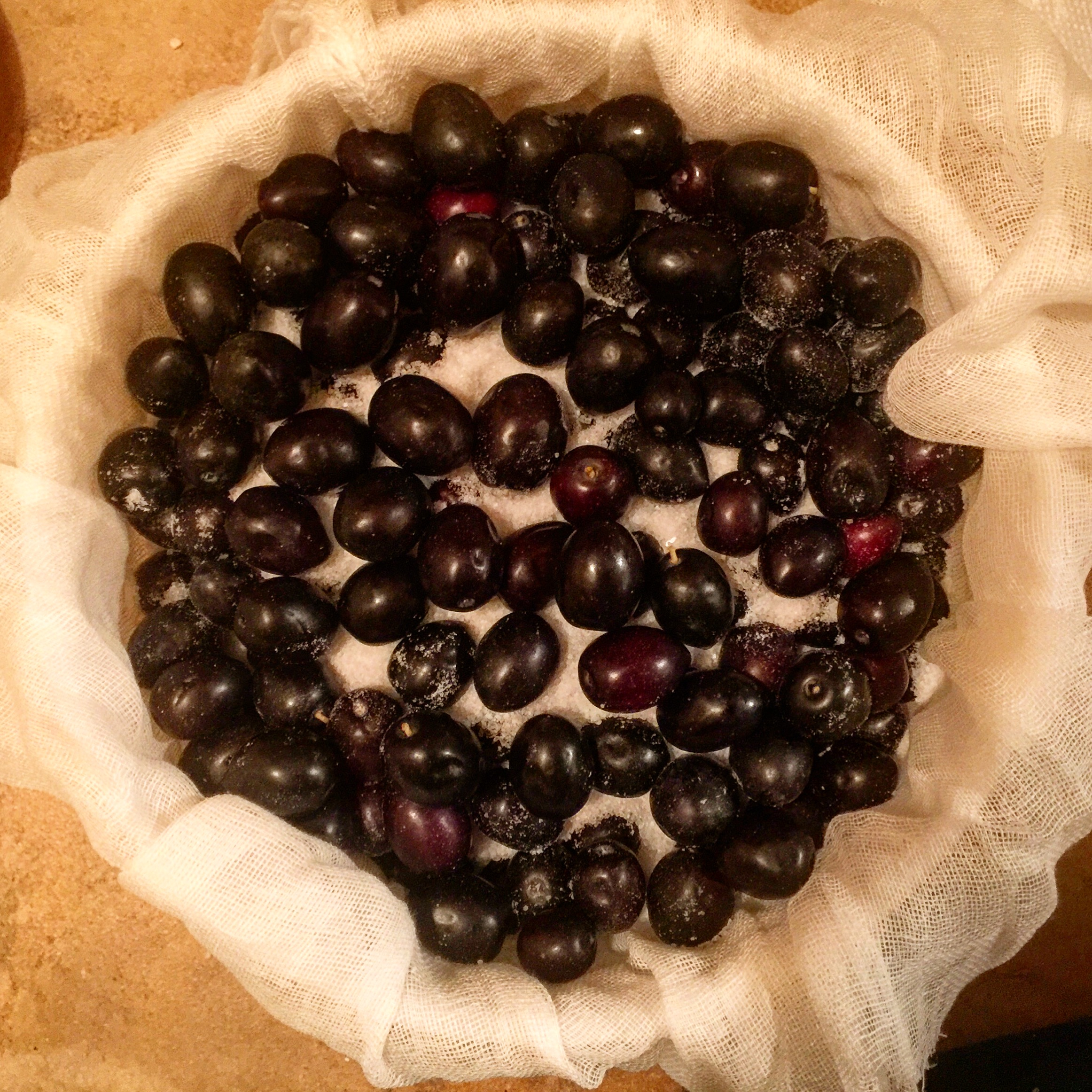 Dry Salt Cured Olives