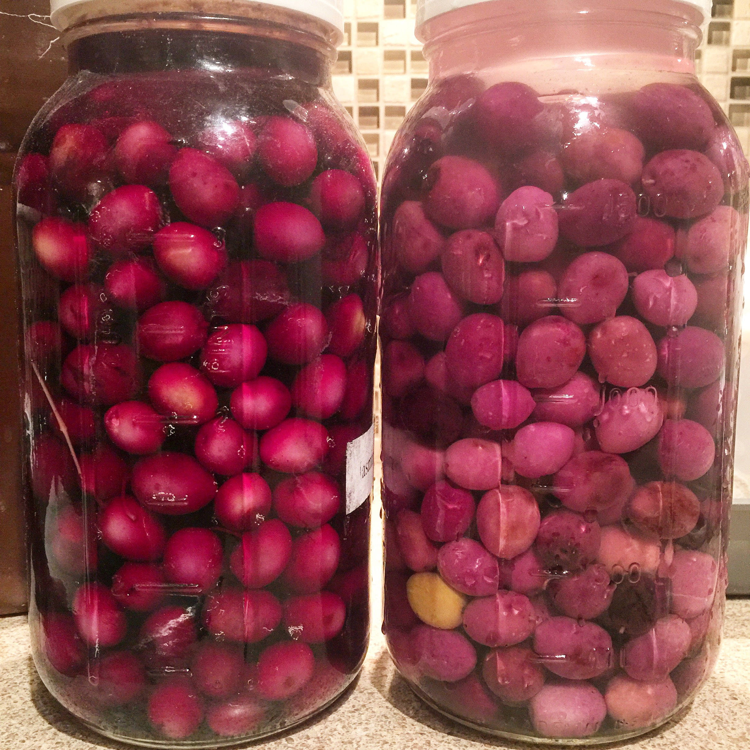 Brine Cured Olives