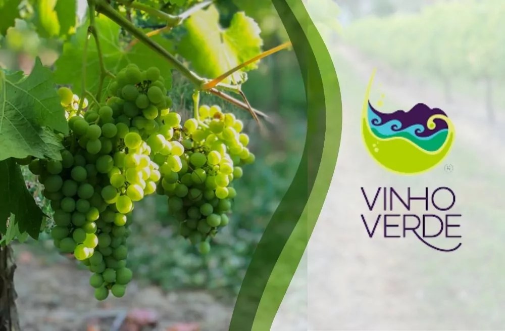 Gastronomadas MX La esencia del Vinho Verde de Portugal Divinum