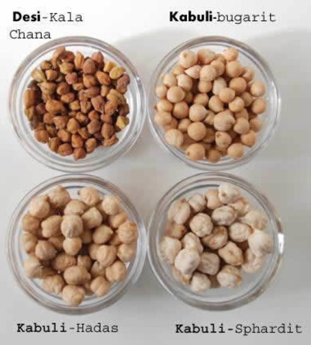 El garbanzo historia, recetas suculentas e incluso sexo Gastronosfera