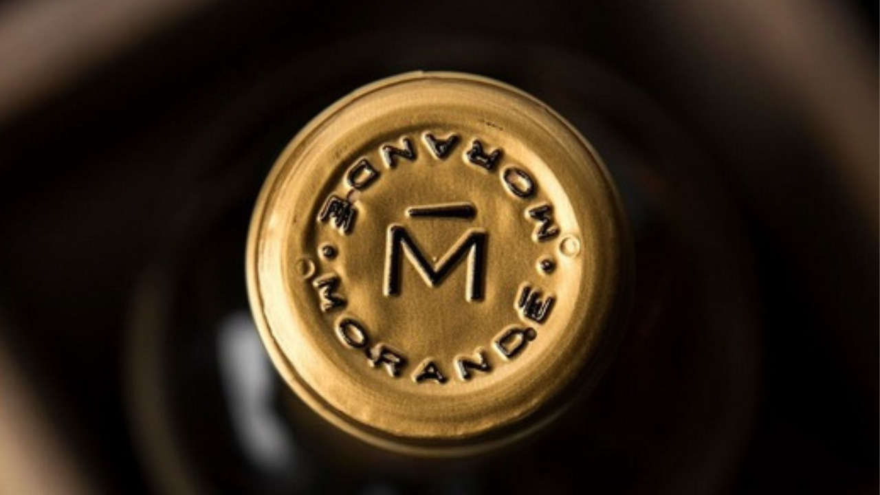 GastroRosé House of Morandé