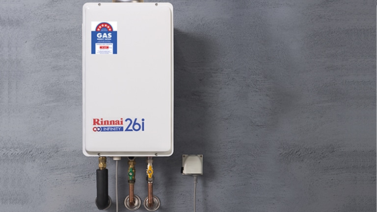 Rinnai Infinity 26 Internal Gas Works