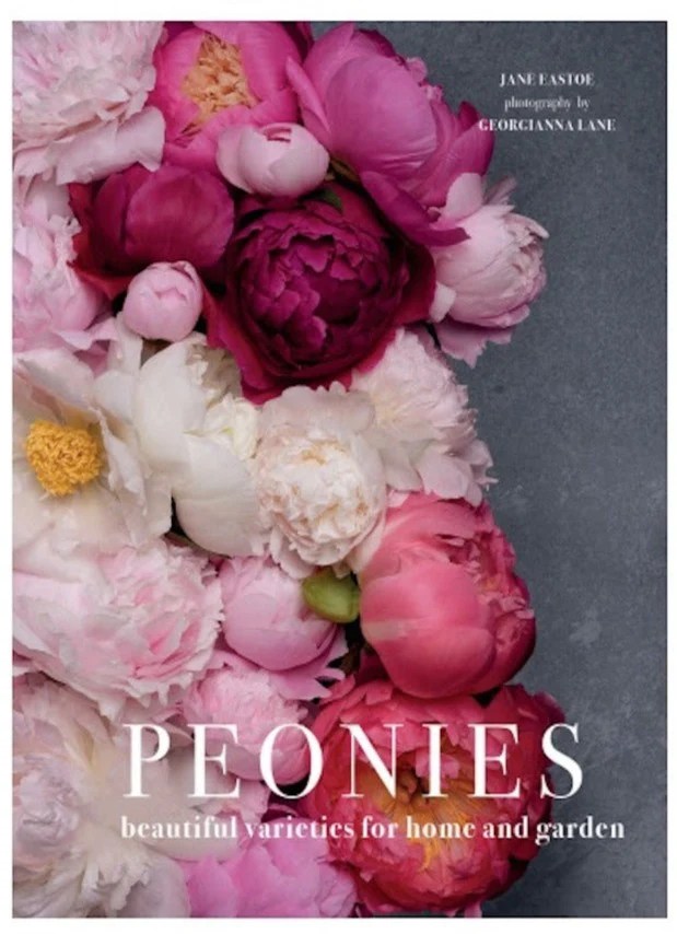 Peonies Gatehouse Style