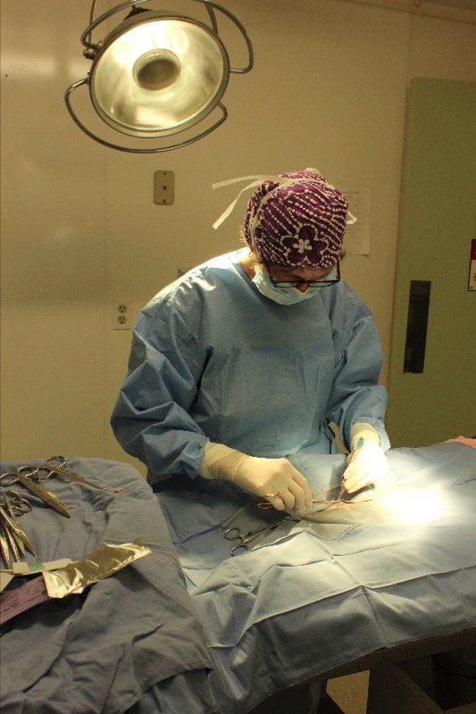 Take Our Clinic Tour Gates County Animal Clinic