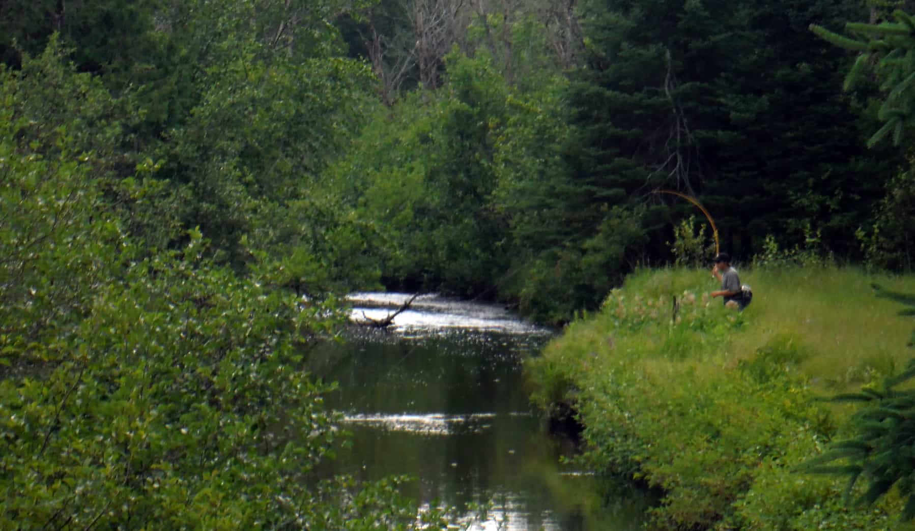 Summertime Gates Au Sable Lodge