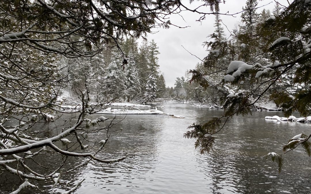 Finding the right fly Gates Au Sable Lodge