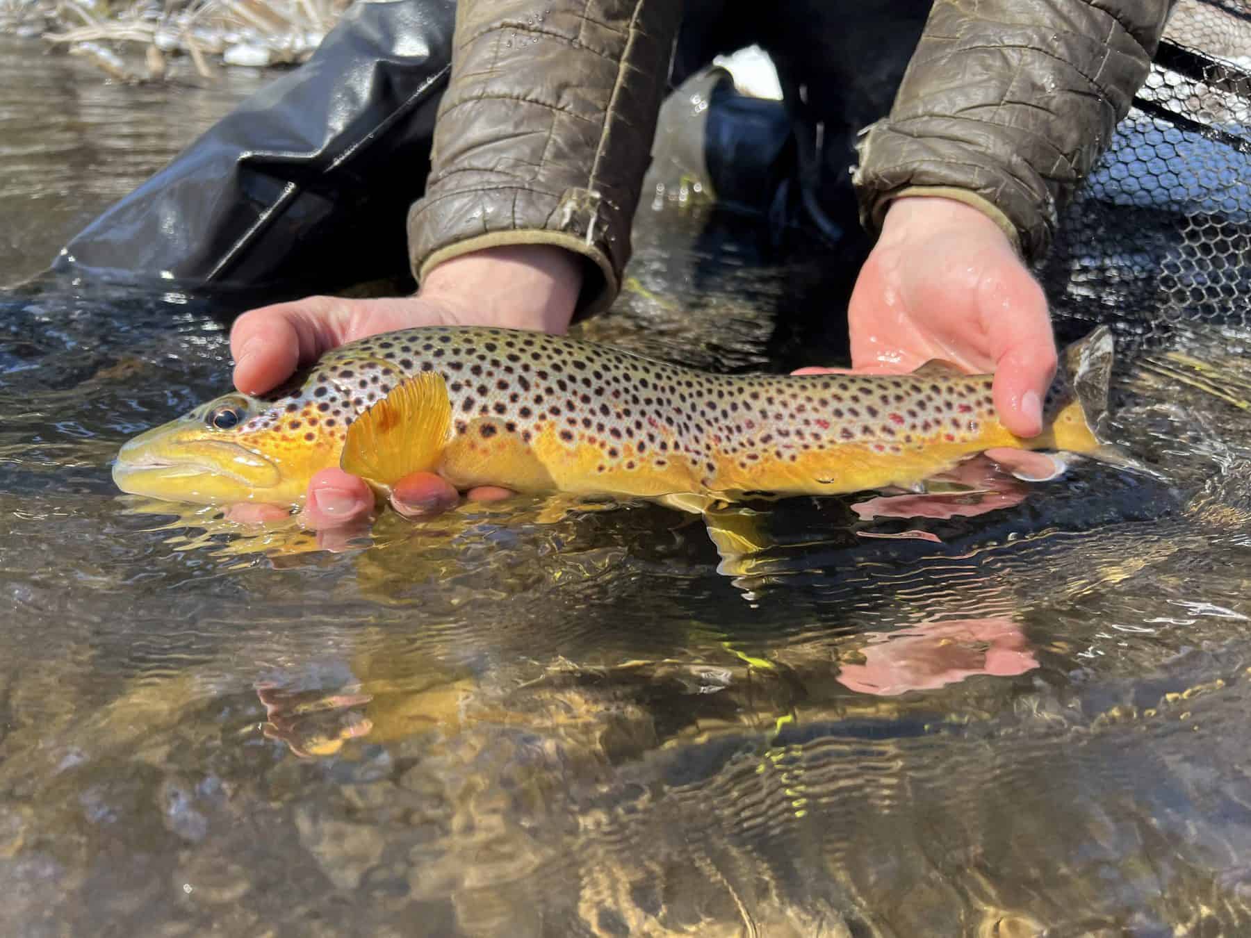 The Midwest Fly Fishing Expo is Back Gates Au Sable Lodge