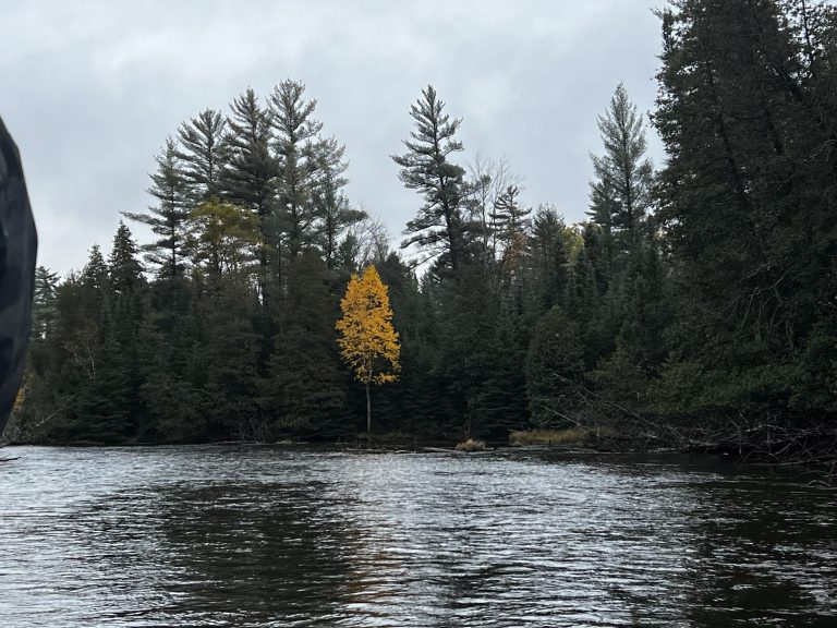 Chasers Gates Au Sable Lodge