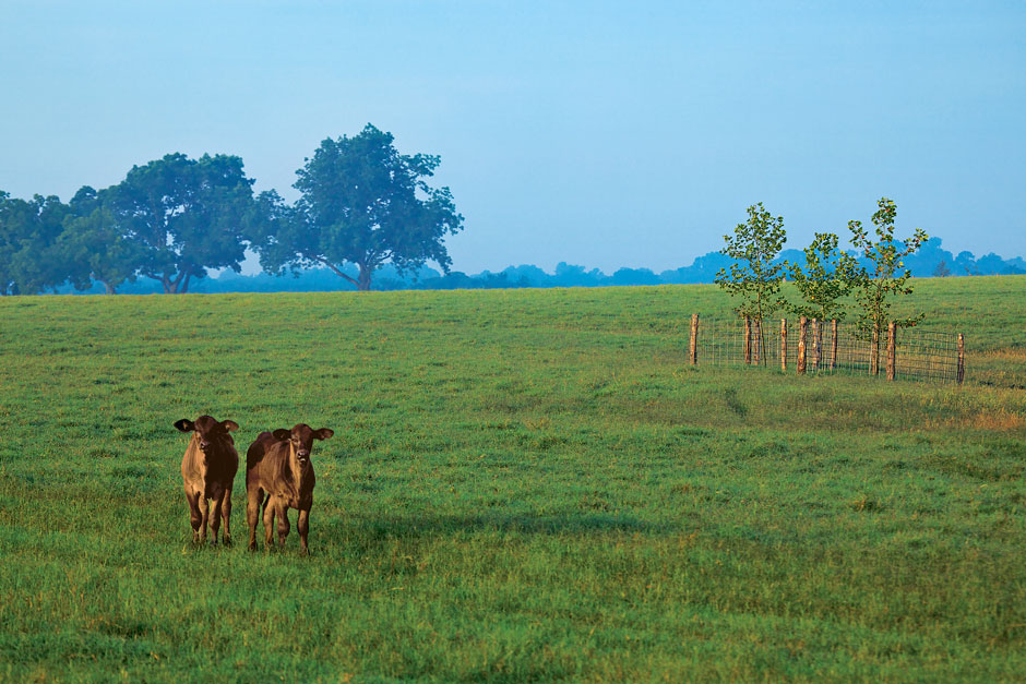 Texas Land Magazine Report Gates Ranch
