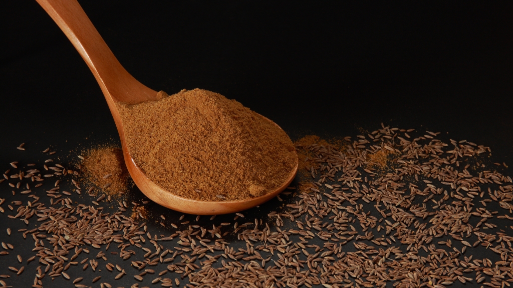 Can Dogs Eat Cumin? Gateway Havanese