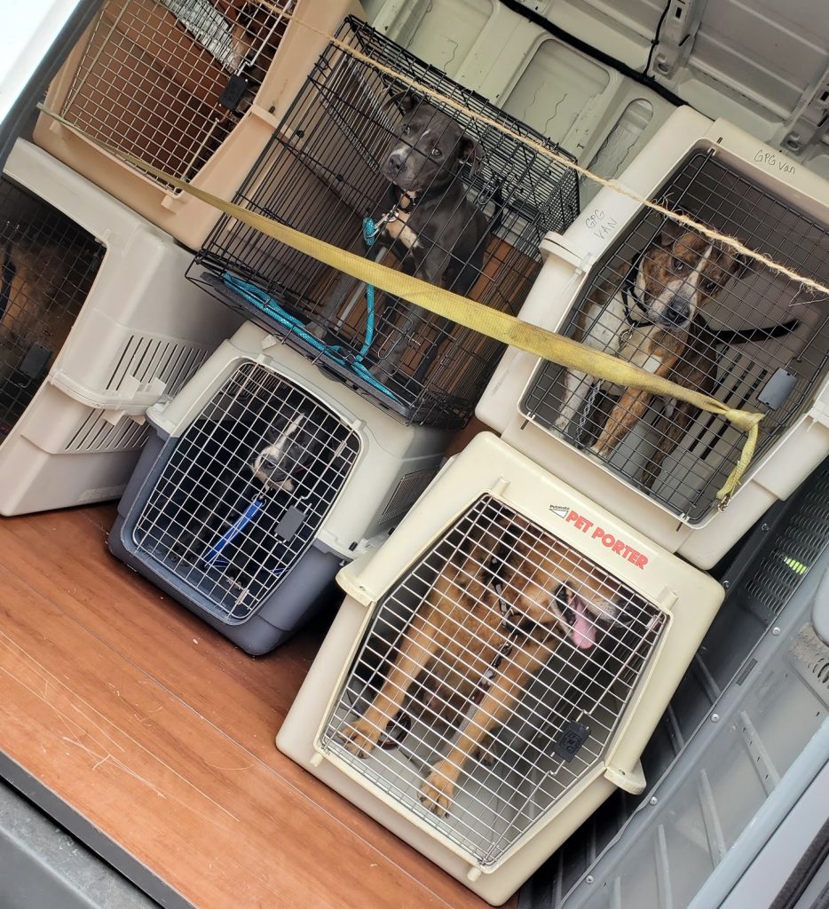 In Preparation for Increasing COVID19 Cases, St. Clair County Animal