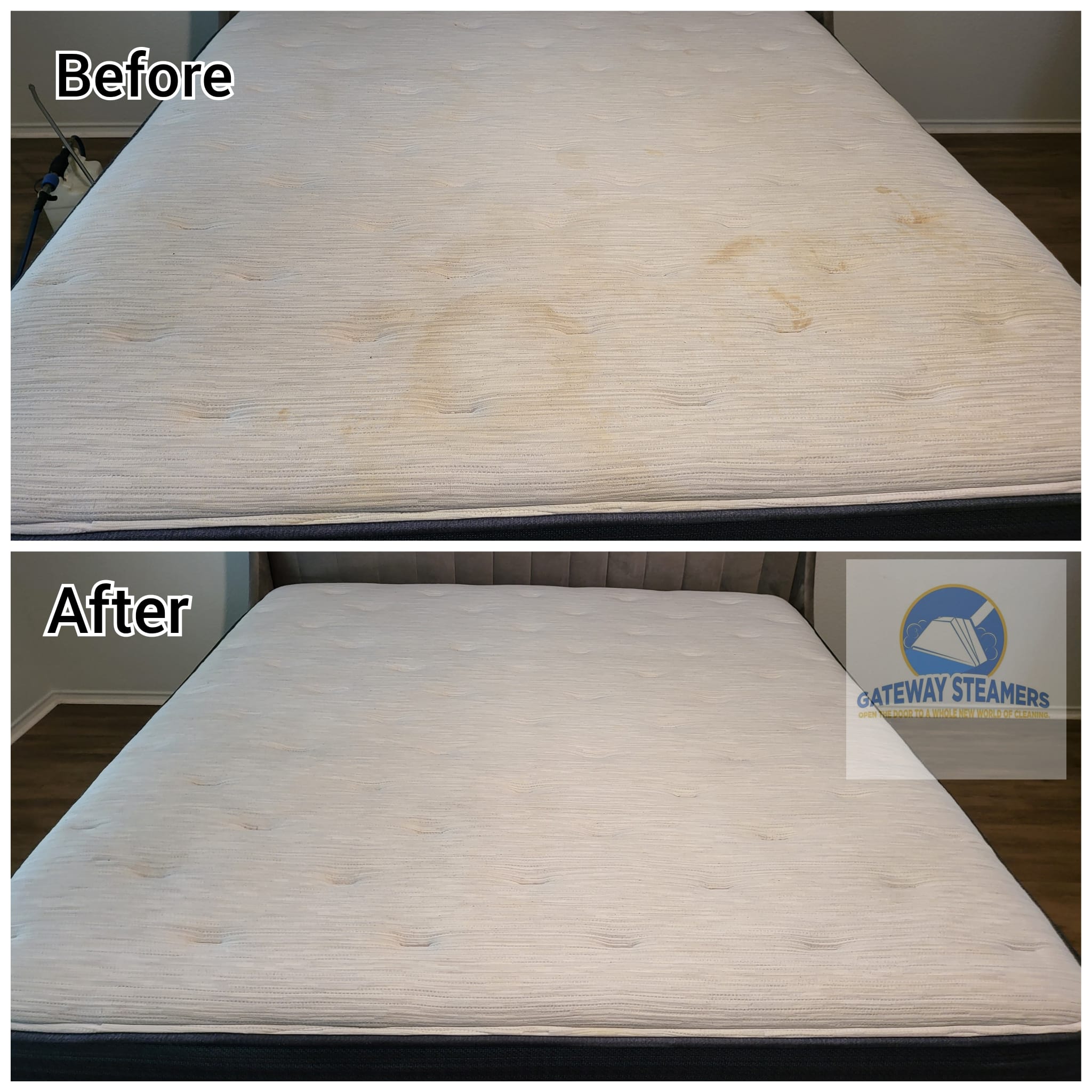 Mattress Cleaning Why It's Important and How to Find a Service Near You