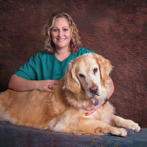 Meet Our Technicians Gateway Veterinary Clinic Saint Charles, IL