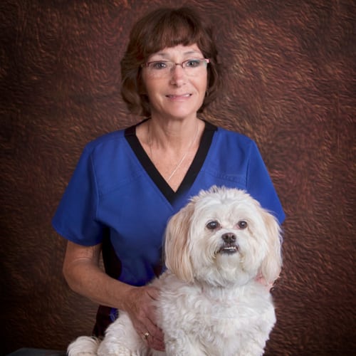 Client Care Coordinators Gateway Veterinary Clinic Saint Charles, IL