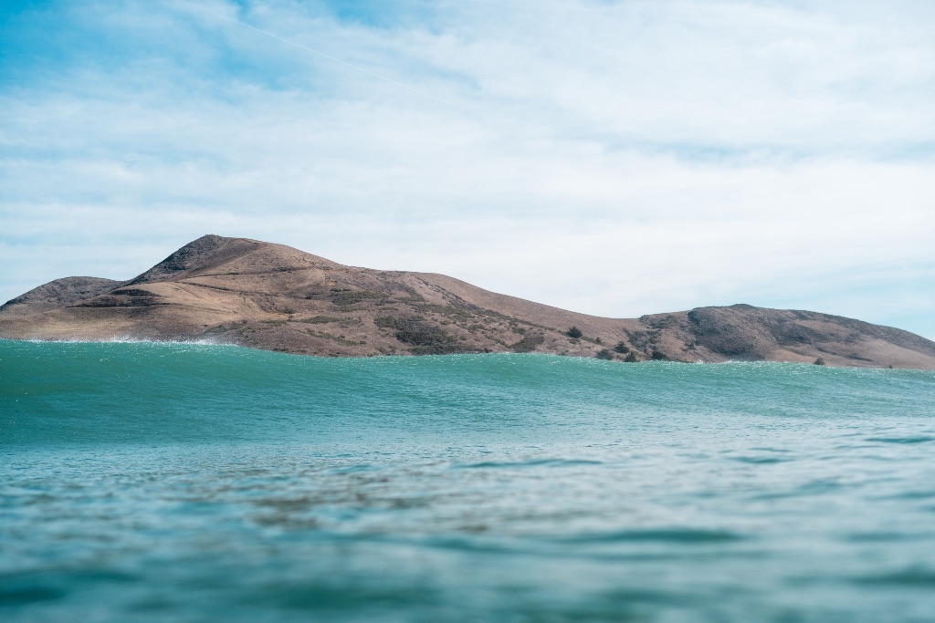 Cayucos Surf A Local's Guide Gathering Waves