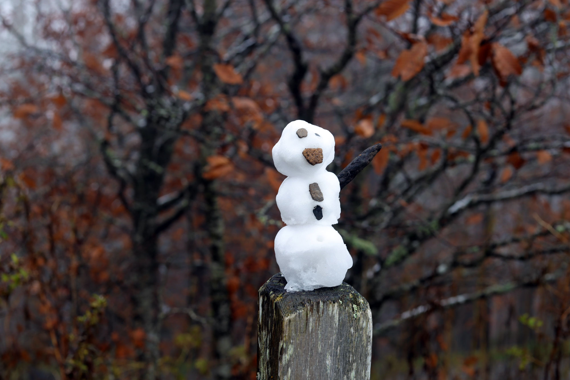 The First Smoky Mountain Snow of the 202122 Fall/Winter Season The