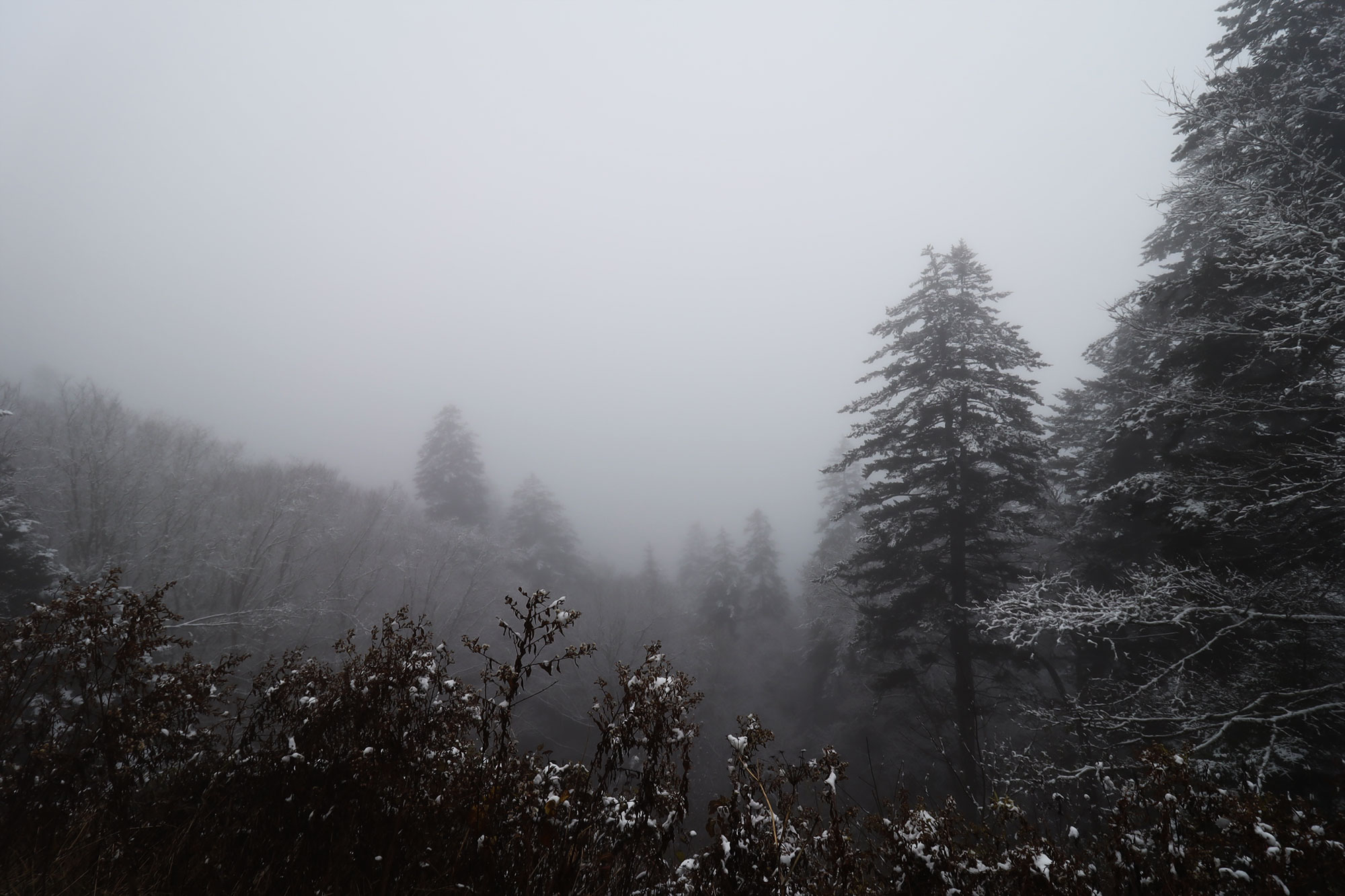 The First Smoky Mountain Snow of the 202122 Fall/Winter Season The