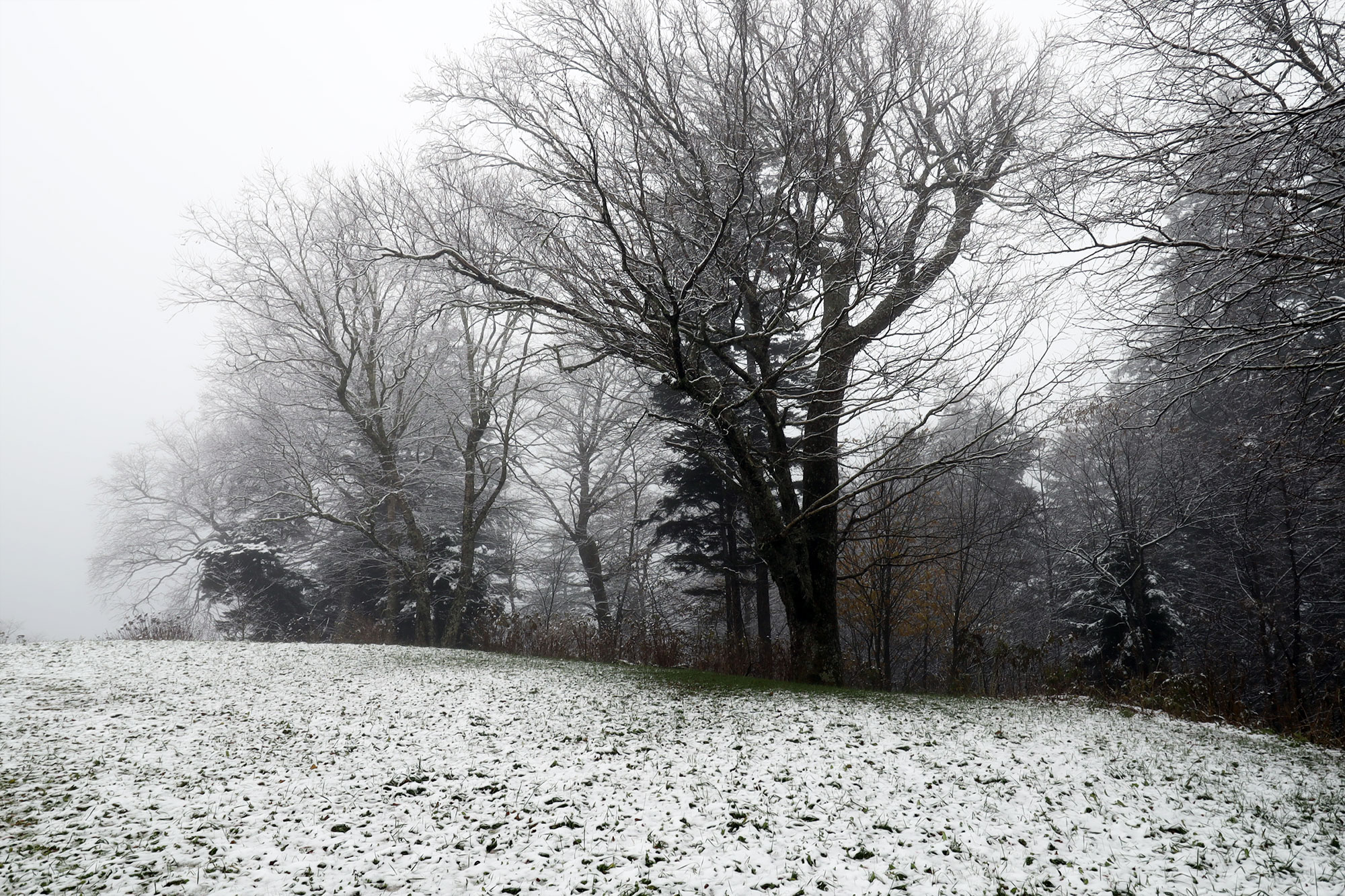 The First Smoky Mountain Snow of the 202122 Fall/Winter Season The