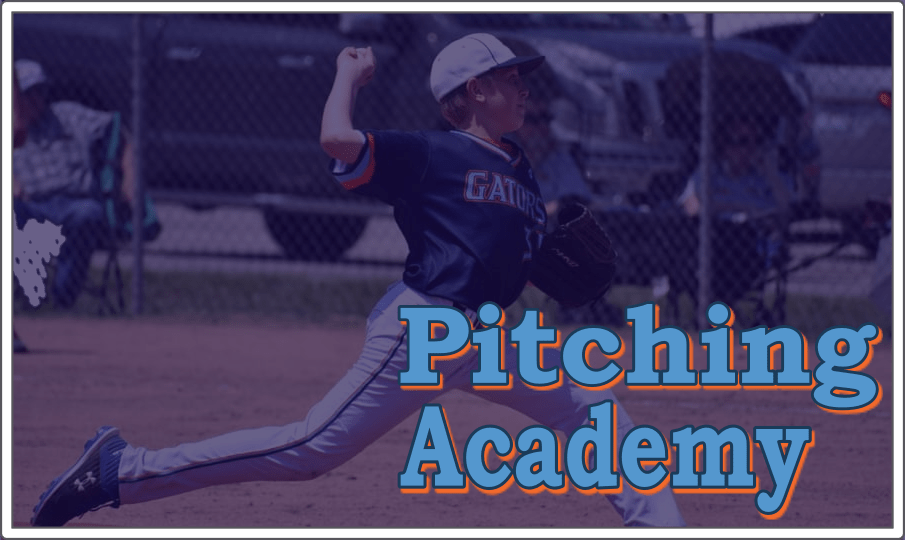 Pitching Academy Gators Baseball Academy