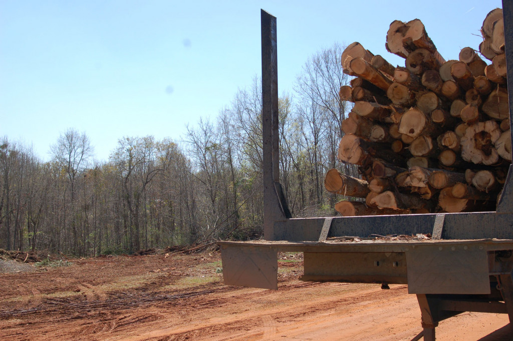 Timber Companies In roseanndesign