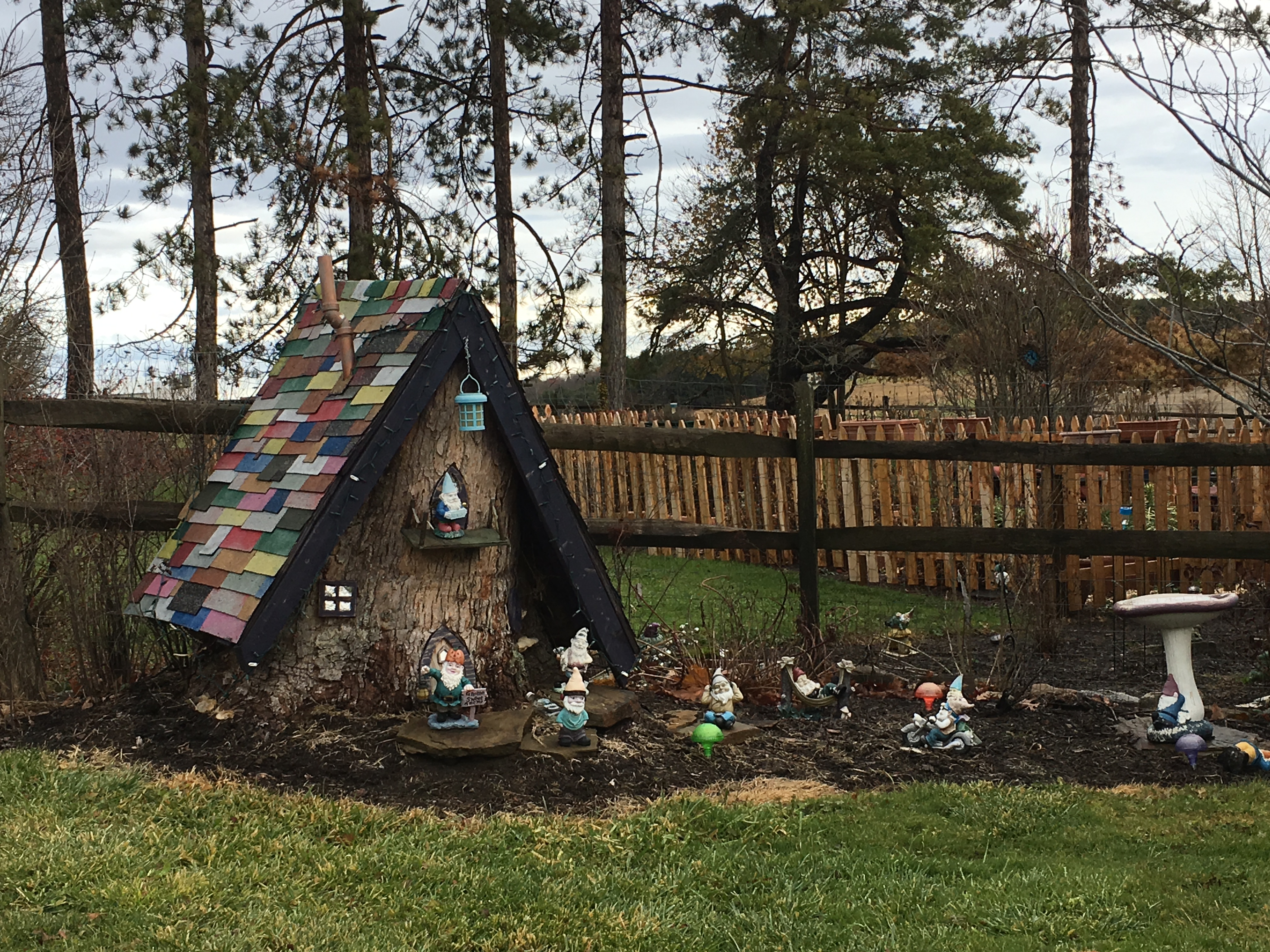 20161129 Gnome House Gaviidae Sails