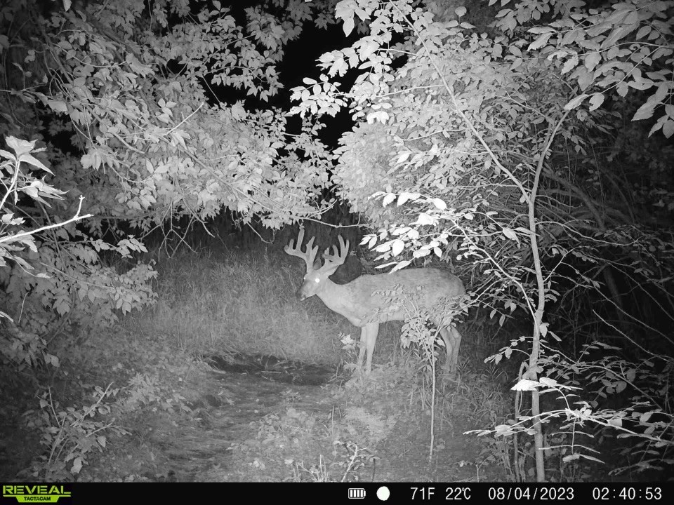 76.78 Acre Online Only Real Estate Auction Ends Wonewoc, WI. Gavin