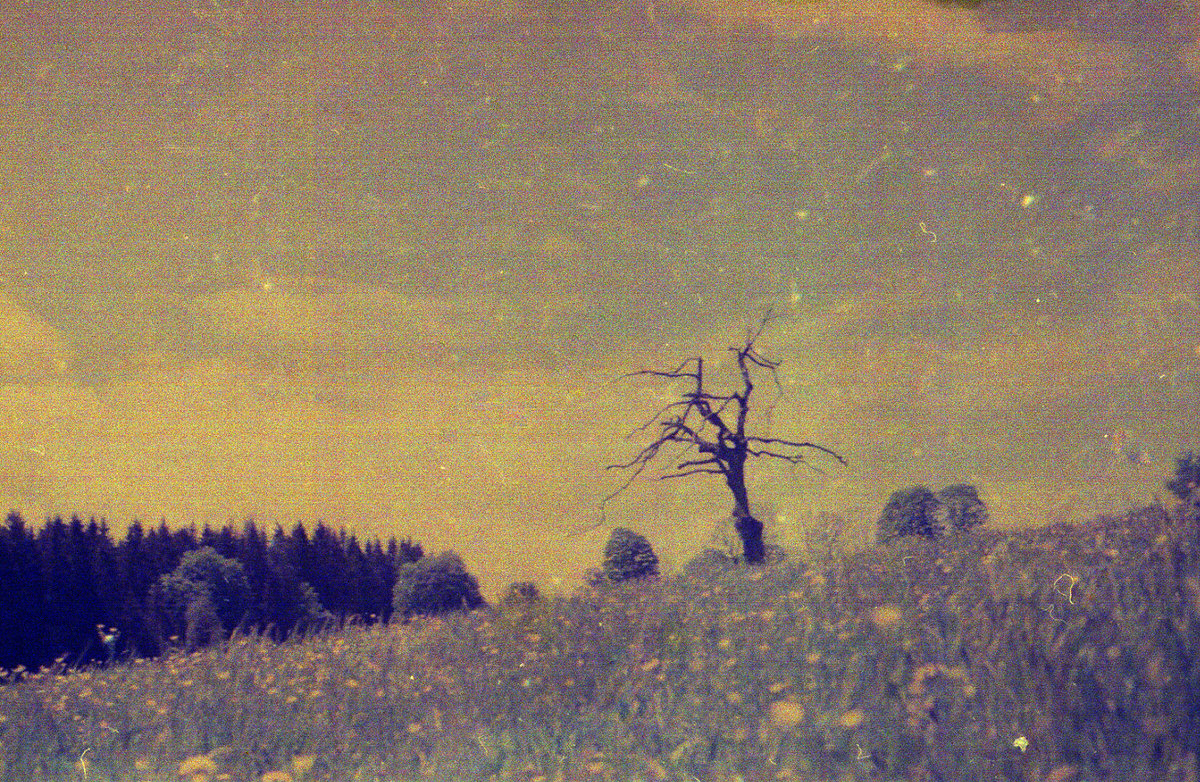 Shooting Expired Film from 1987! Kodacolor 400 Gavin Lyons Photography