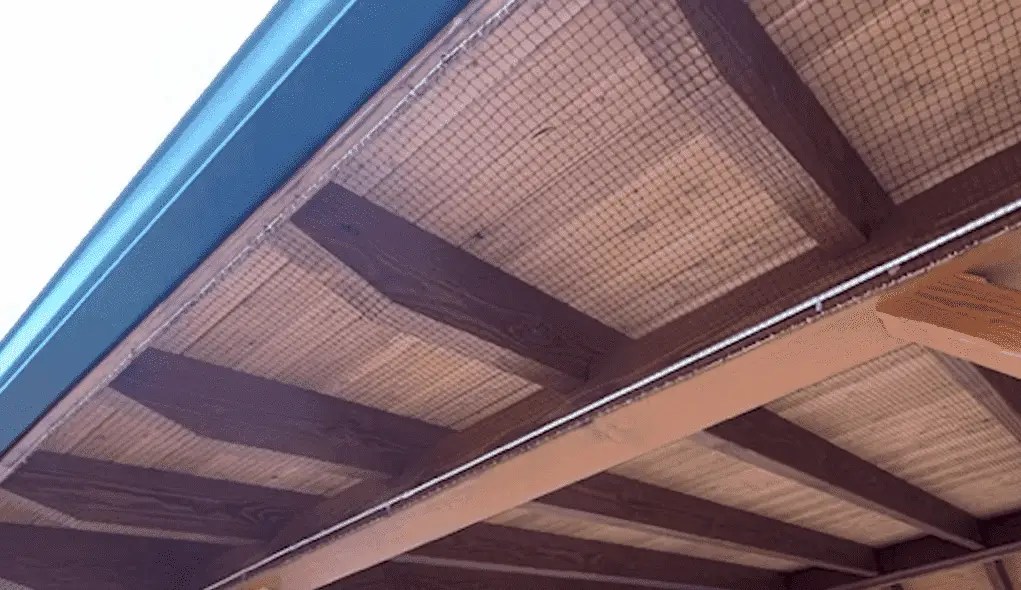 How To Keep Birds Out Of Gazebo 2024