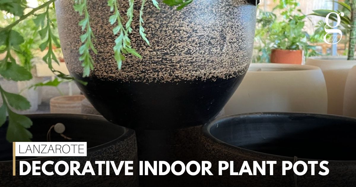 Decorative indoor plant pots