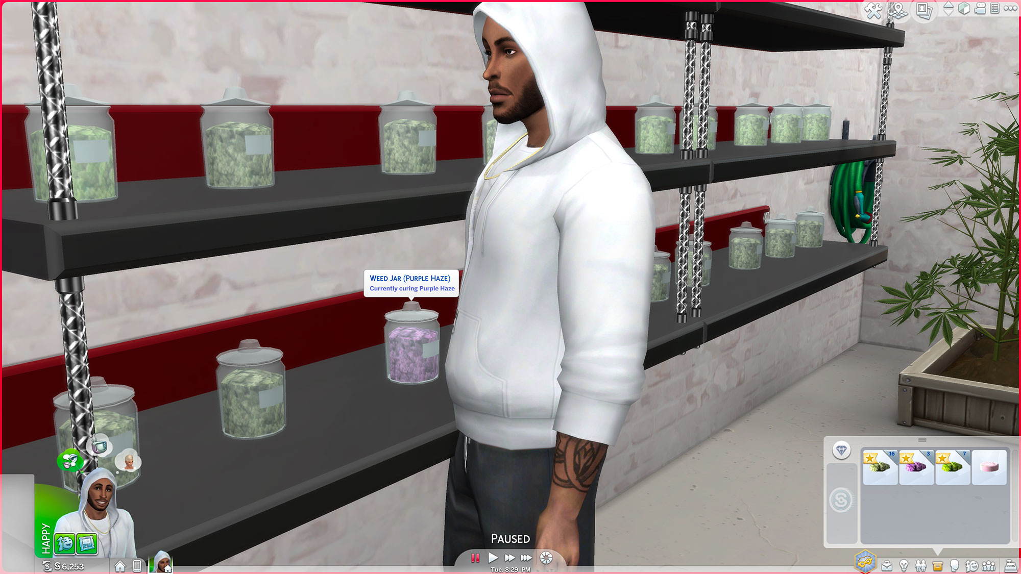 All You Should Know About Sims 4 Drug Mod Gazettely