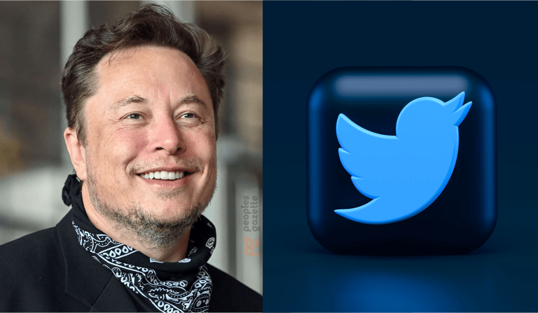 Elon Musk buys 9 stake in Twitter, now largest shareholder The