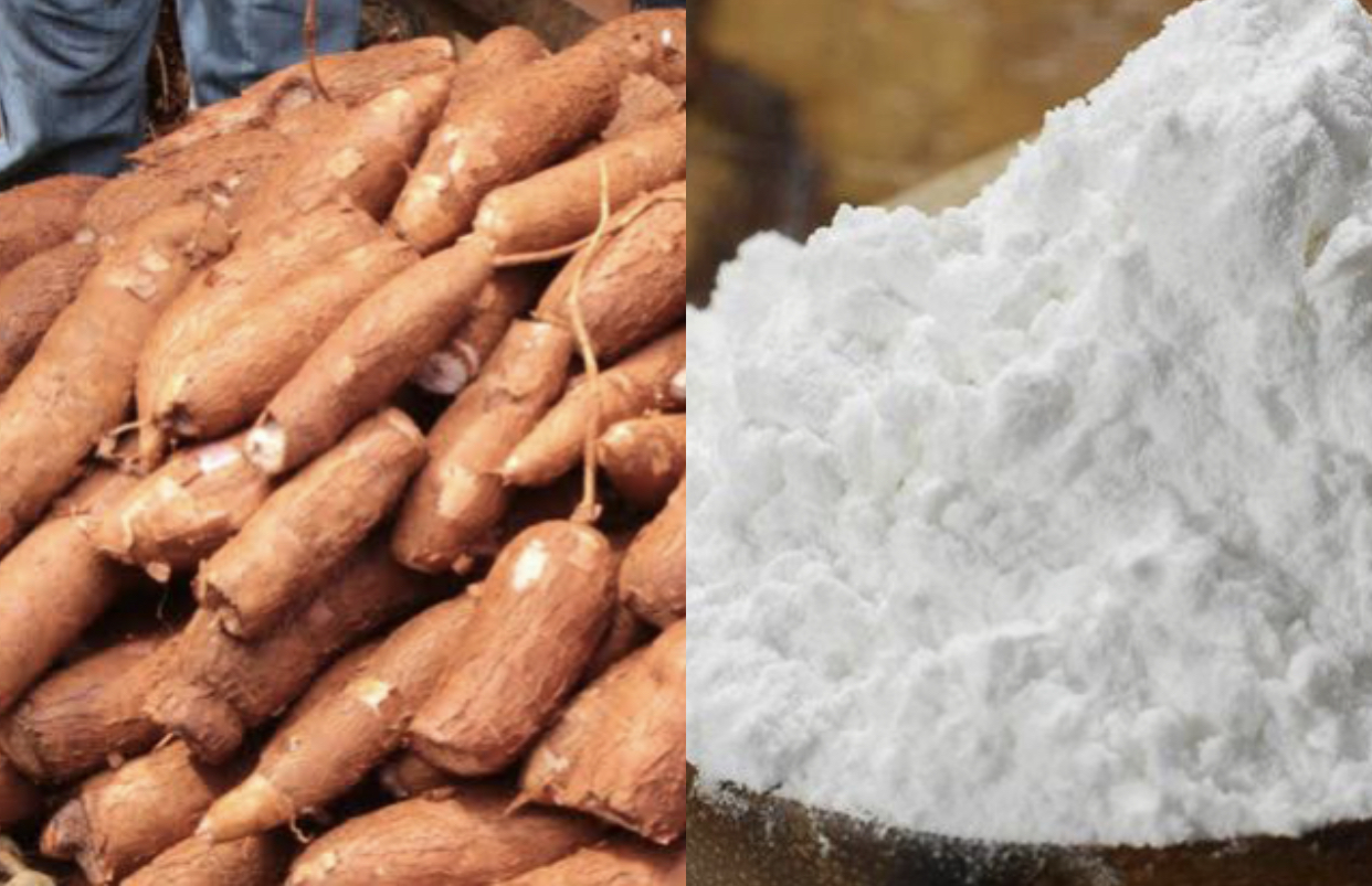 95 of starch used in Nigeria imported despite being largest cassava