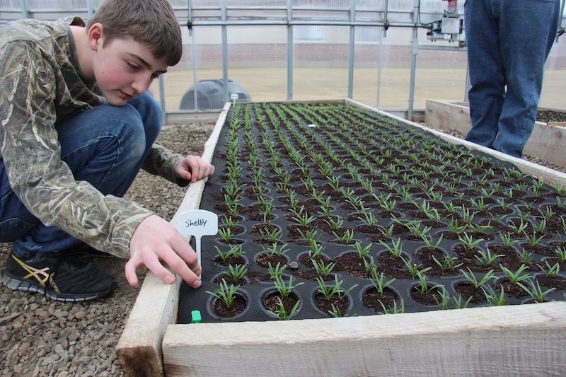 Seedsheet After Shark Tank 2018 Update Gazette Review