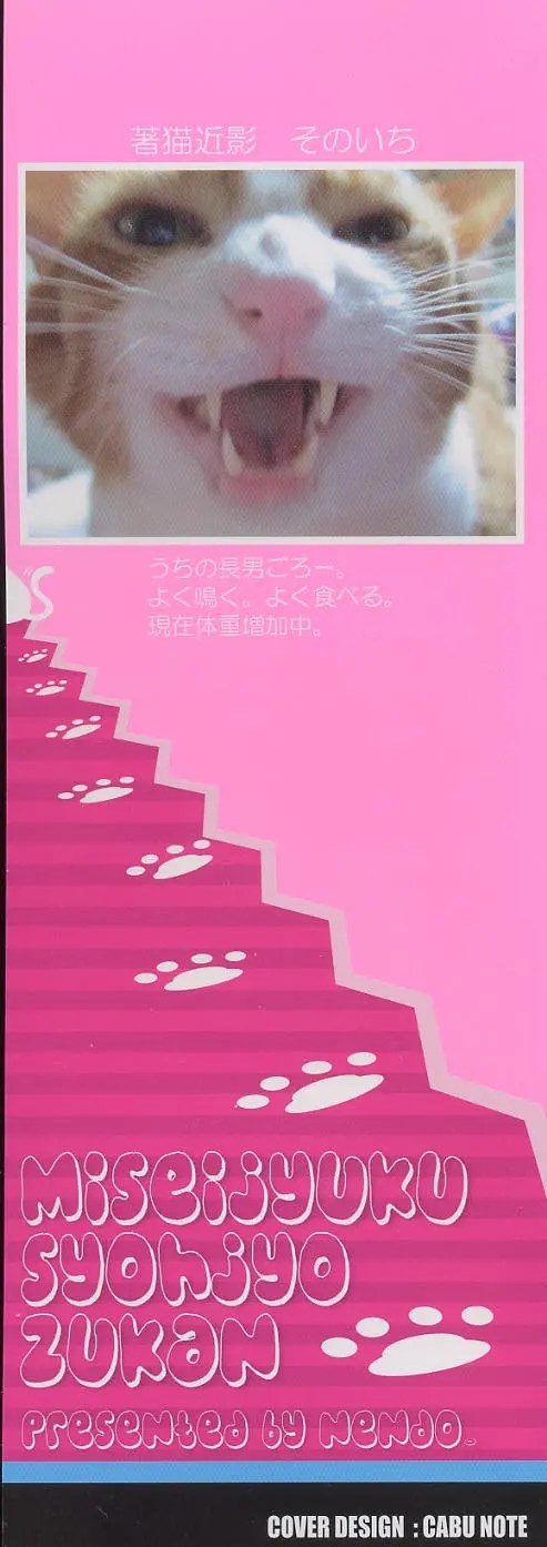 未成熟しょうじょ図鑑 3枚目