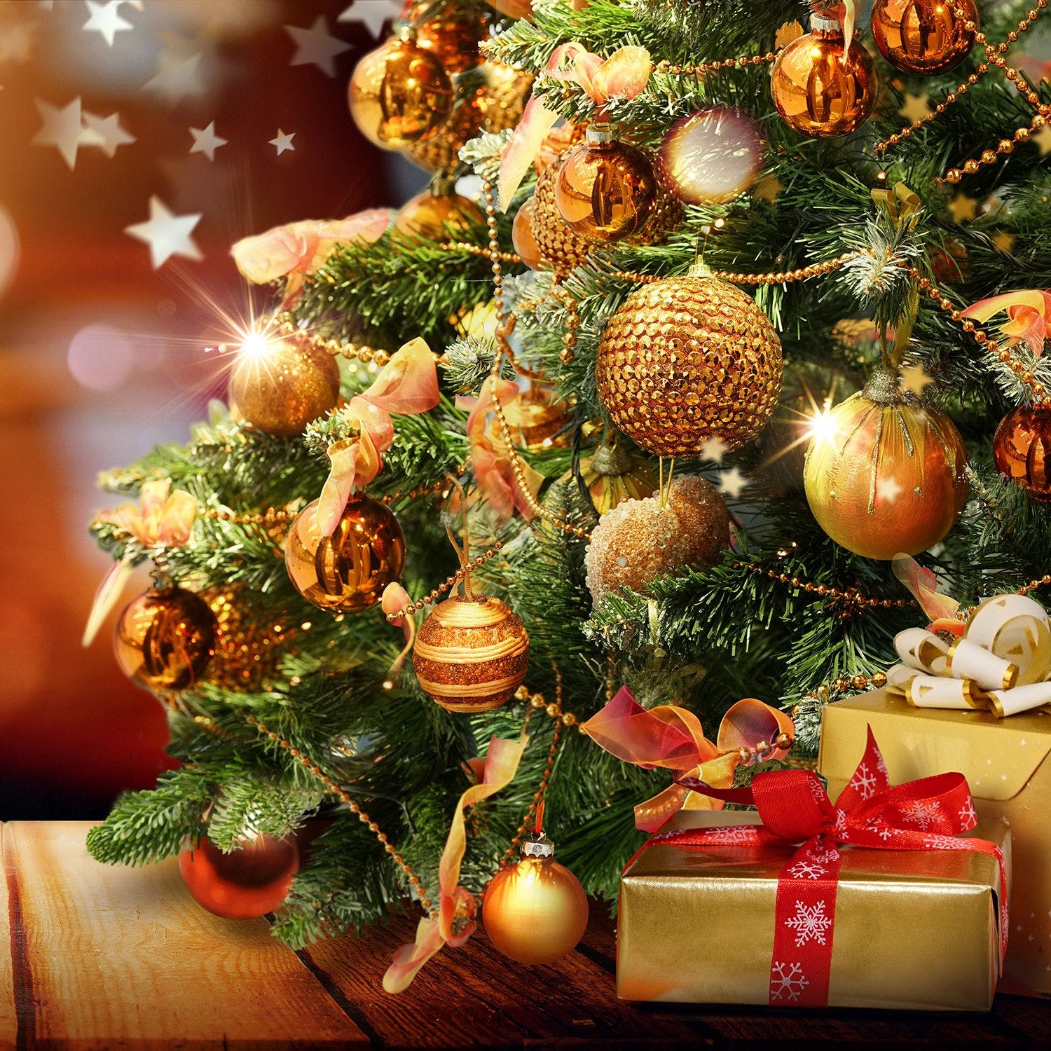 クリスマスはキリストの誕生日ではない！？ – Frantzvoice クリスマスソング | ガズレレ！Youtubeで簡単ウクレレ！