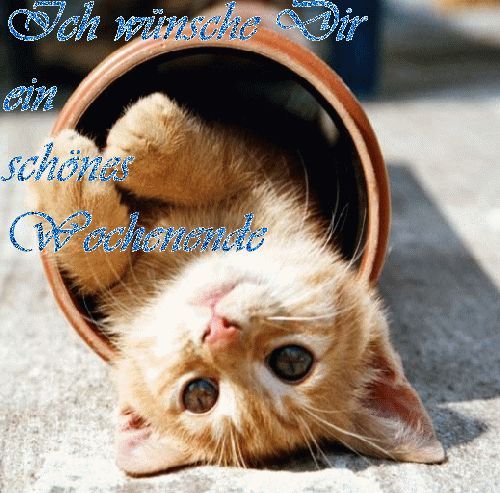 Wochenende Kostenlose Gästebuchbilder