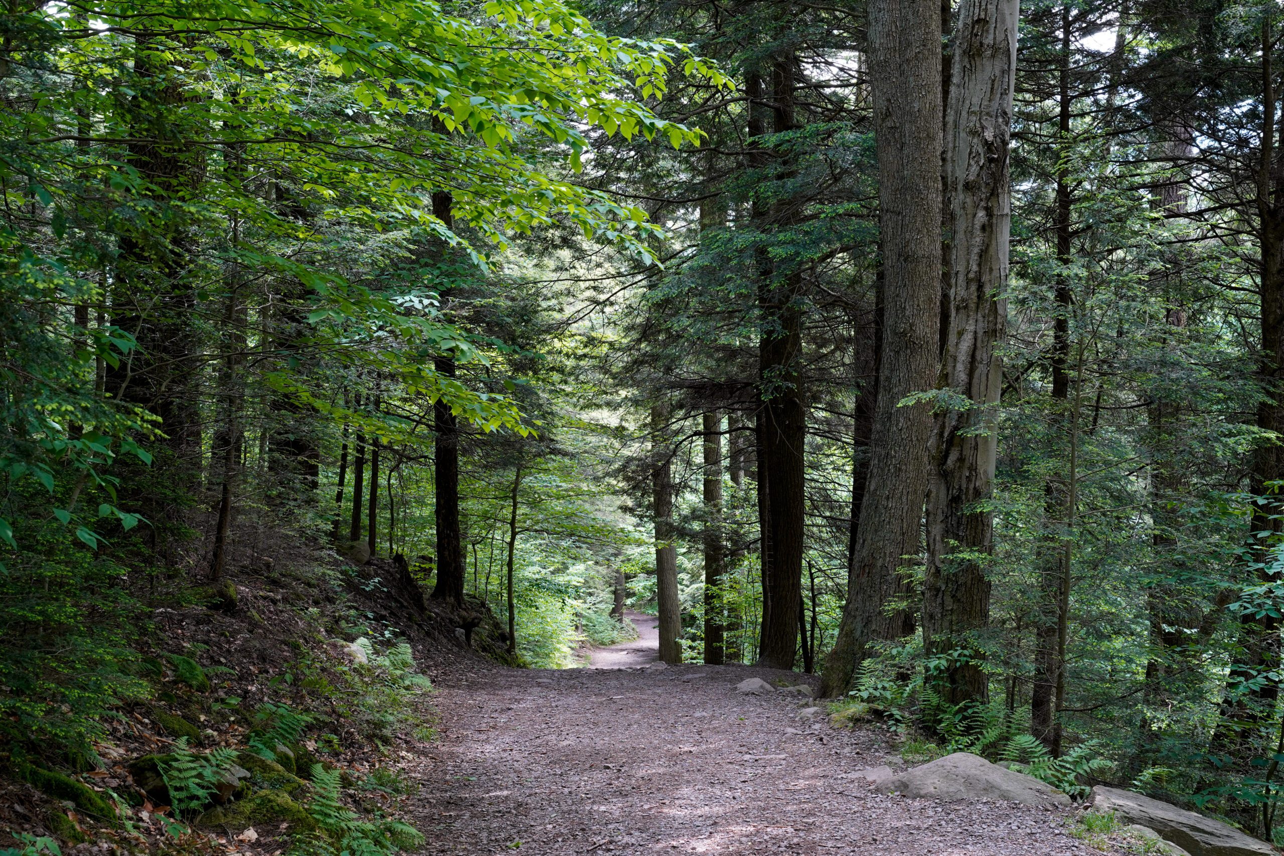 Electrical Repair & Installation Services Electrician Stockertown PA