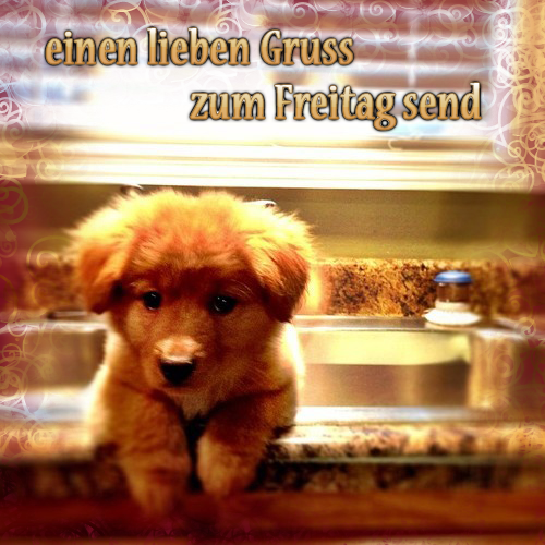 Freitag 20452 GB Pics, GB Bilder, Gästebuchbilder, Facebook Bilder