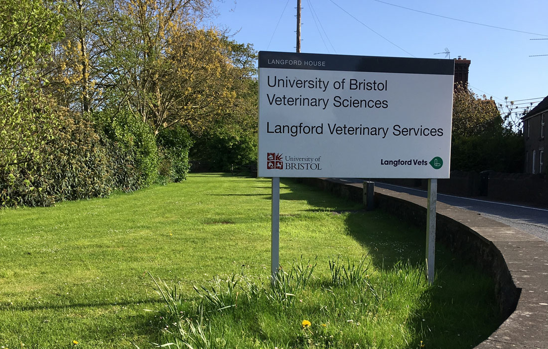 Our Partner Langford Abattoir The Great British Rare Breed Pig Company Ltd.